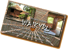 pousada Waikyru - cartão